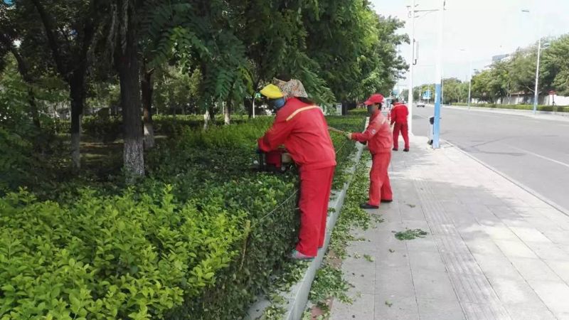 小区物业：管理的艺术